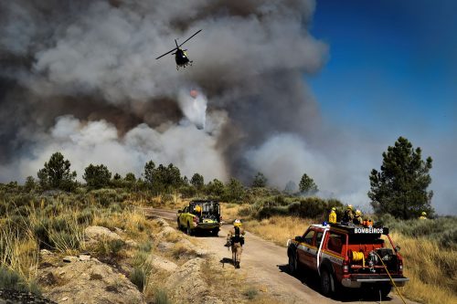 Bombeiros combatem um incêndio em Celorico da Beira, Guarda, 13/08/2022 (NUNO ANDRÉ FERREIRA/LUSA).